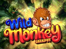 wild monkey gokkast